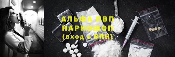 амф Покачи
