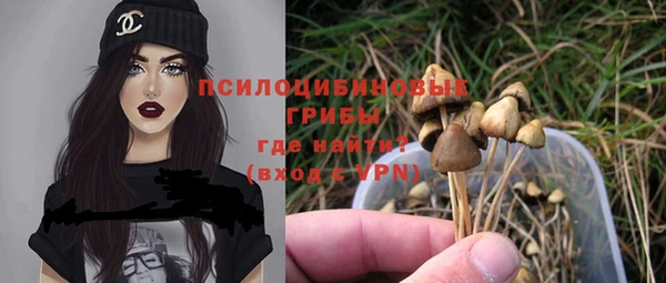 амф Покачи