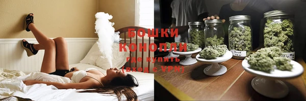ПСИЛОЦИБИНОВЫЕ ГРИБЫ Покровск