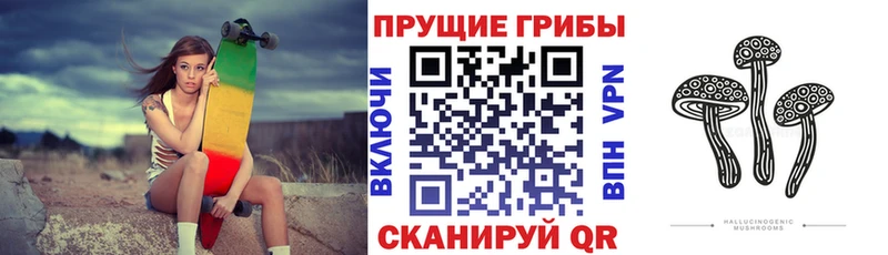 Псилоцибиновые грибы Psilocybine cubensis  Купить закладки  Емва 